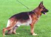 Small picture of VA2 Untox von Ducati